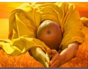 FB_IMG_1657344452720